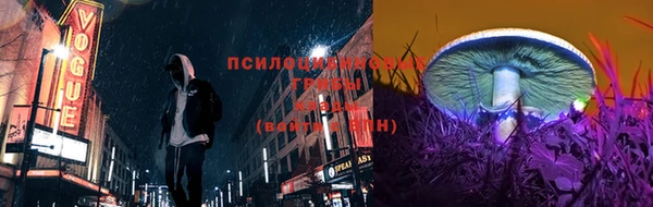 амф Дмитровск